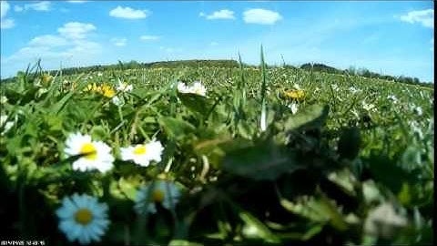 Blade 350 QX V2 Absturz