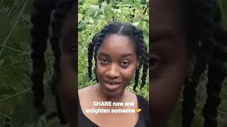 😲 Did you know #Moringa Makes HEALTHLY (Green) Dumplings? #jamaicanfood