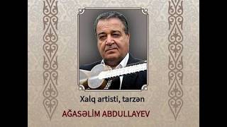 Ağasəlim Abdullayev Bəhram Mansurov Haqda 2011