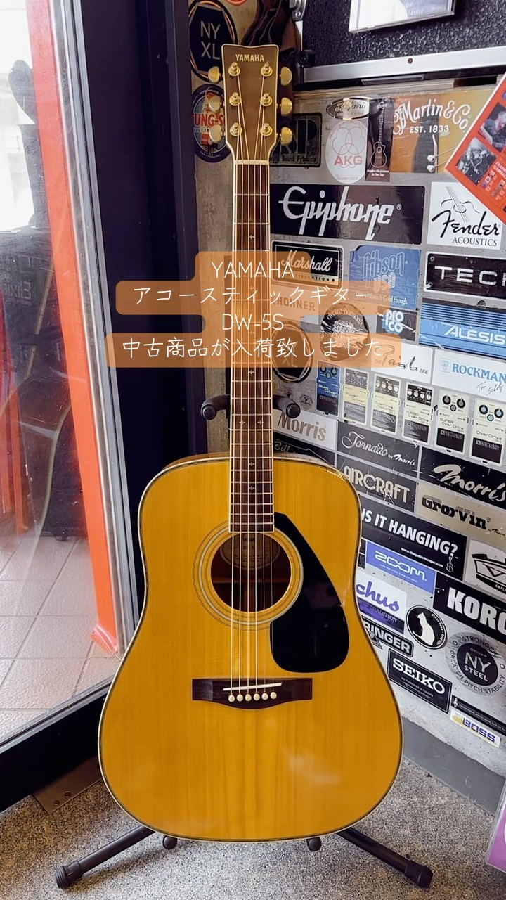 Pre-owned YAMAHA Acoustic Guitar DW-5S Now in Stock #yamaha