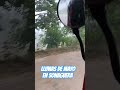 primer lluvia de mayo