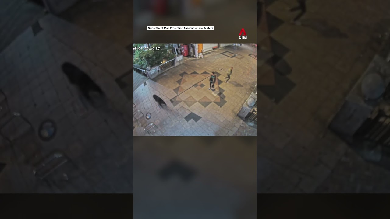 Japanese city suspends 94 schools after first-ever bear sighting