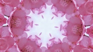 Music for SPA, Massage, Relaxation | 1 hour of Visual Meditation Floral Tranquility
