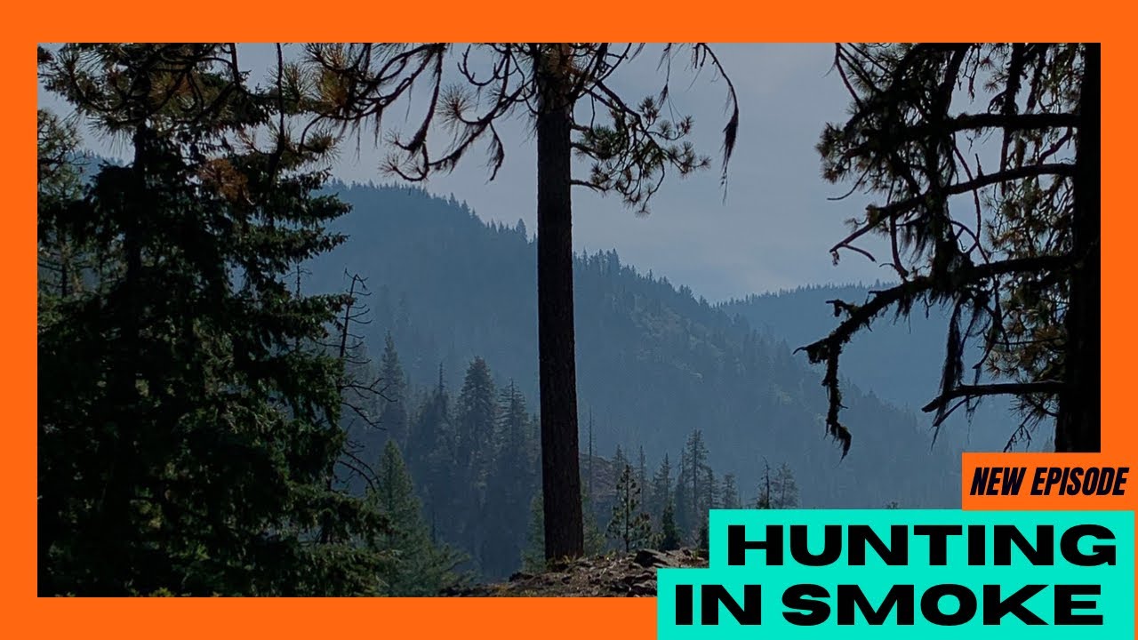 a-deer-hunt-in-the-smoke-youtube