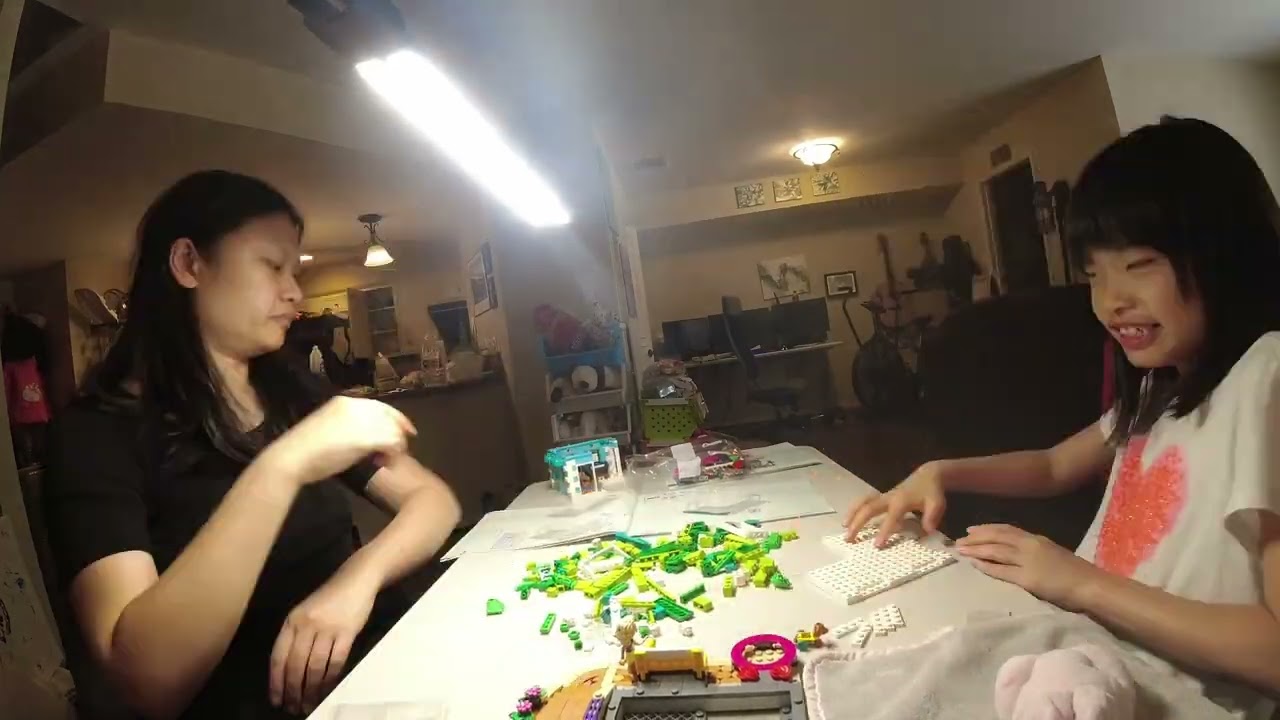 Building Legos : Heartlake city community center