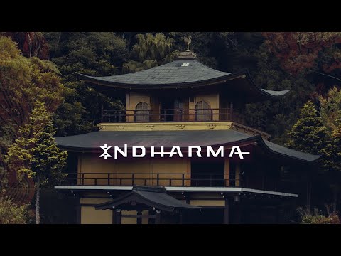 InDharma | Alta Voltagem ⚡