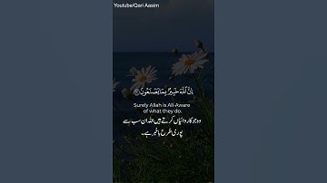 قل للمؤمنين يغضوا من ابصارهم ويحفظوا فروجهم | تلاوة مرئية من سورة النور | quran status | Qari Aasim