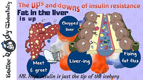 Fatty liver insulin resistance - DayDayNews