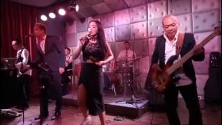 The Protocols Band 2017