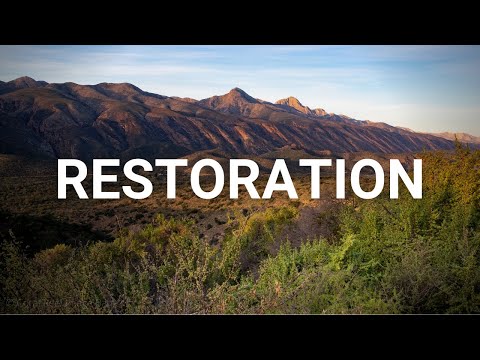 Capturing Carbon - Farmers restore land in South Africa