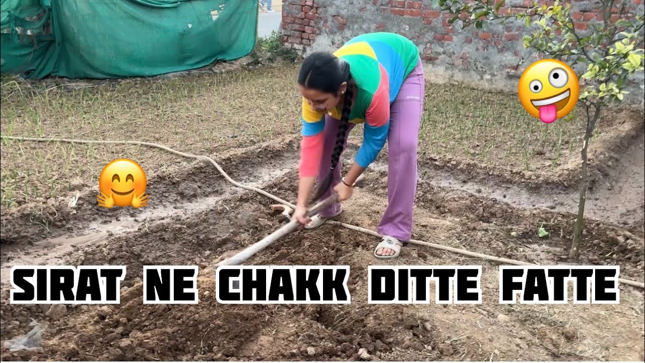 Sirat Ne Chak Ditte Fatte | Strong Girl | #youtube #familyvlog #gardening 