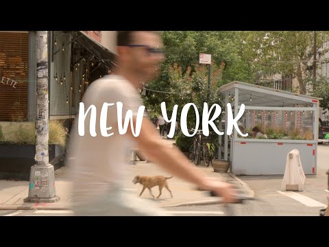 Video: 7 Bästa bagerierna i Brooklyn