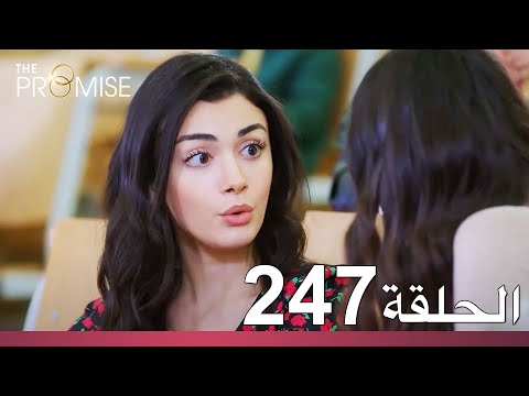 الوعد الحلقة 247