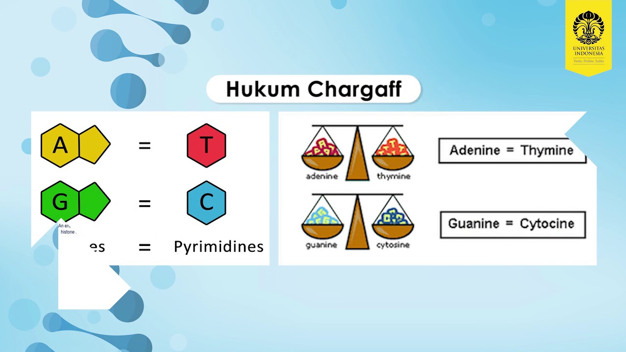 Course Biologi Molekuler Dan Genetika