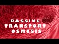 The Dynamics of Passive Transport and Osmosis in Cells