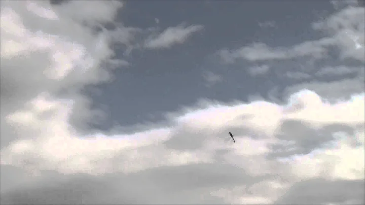 Rodney Kee AIR 2015 Advanced