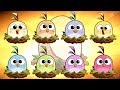 Angry birds 2  hatchling level 1 up to level 8