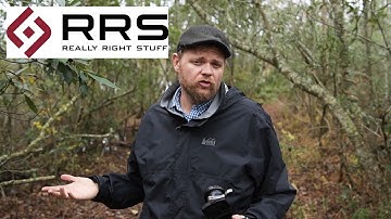 The Perfect Tripod Head for Wildlife Photography and Video | Really Right Stuff Fluid Gimbal Head
