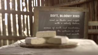 Cheese Maker Story - Albert's Leap, Quality Cheese  | All You Need is Cheese