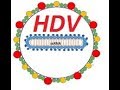 Prof ali monis hepatitis d virusv