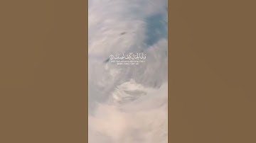 ( أَفَلا يَنْظُرُونَ إِلَى الإِبِلِ كَيْفَ خُلِقَتْ ) القارئ خالد الجليل ✨
