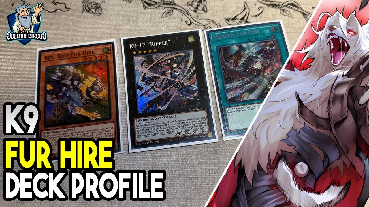Описание колоды Yu-Gi-Oh! Fur Hire K9