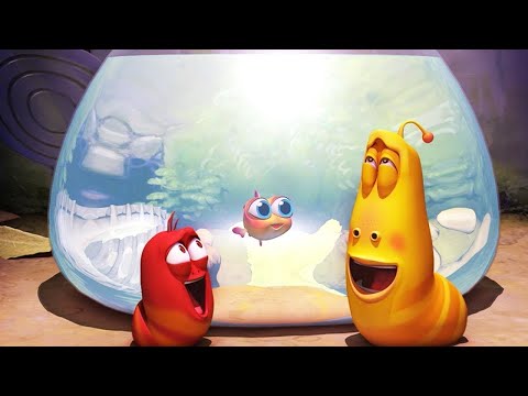 Akwaryum - LARVA TUBA