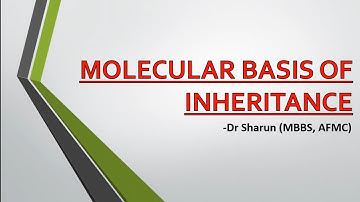 Daily Biology MCQs (6th November) NEET 2024 || Molecular Basis of Inheritance || NEET MCQ Practice