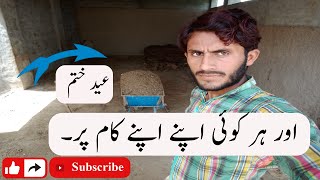 Cleaning To Animal Place From House Sariki Joureny