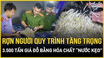 Rợn người quy trình tăng trọng 3.500 tấn giá đỗ bằng hóa chất cấm "nước kẹo" | Báo VietNamNet