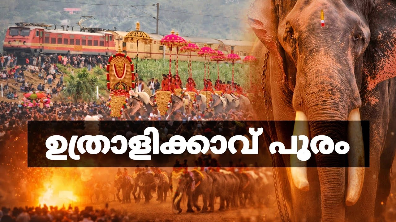 പൂരങ്ങളുടെ പൂരങ്ങളുടെ പൂരം..!!