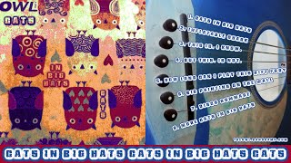The Owl - Cats In Big Hats EP (Acoustic Songs Improvised Fundraiser)
8 simple, silly, catchy songs in 6 minutes, that I hope will get devoured by your ear worms and repeated back to you many times. I am nervous to release this, but theres a story (several in fact) about how and why this recording exists (its interesting, I promise, I think!). This has also been released as a fundraiser for good friends and their cat that is going through surgeries at the moment. Story about this and the songs below...
On September 16th, me and Blanka played with Marne in Praha at Riot Over River. We stayed for half the day, then she had a rehearsal with Miss Marple and their new drummer, and THEN we stayed out and celebrated her birthday.
Silly conversations and many Thats a song / album title, Thats a band name comments later, my brain was inspired. Blanka has a toiletries bag with owls on it that I saw upside down, and it looked like Cats In Big Hats.... thats a song title for sure!
We stayed at Jiřís that night, and Miss Marple had another rehearsal the next day (as the drummer had traveled over from Brno), so whilst they did that, I stayed in Jiřís flat, picked up his acoustic guitar and jammed for 45 minutes. Cats In Big Hats EP is the result.
00:00 - 1. Cats In Big Hats
00:32 - 2. Inflatable Shark
01:06 - 3. This Is. I Know.
01:26 - 4. But This. Is Not.
02:04 - 5. How Long Can I Play This Riff For?
02:39 - 6. Big Painting On The Wall
04:32 - 7. Disco Rummage
05:29 - 8. More Cats In Big Hats
Free download with artwork: https://theowl.bandcamp.com/album/119-cats-in-big-hats-ep
It was all improvised. I recorded it into my phone. There is no synth or orchestra or choir, at the time or overdubbed later! I should have sang louder or closer to the phone, or maybe I shouldnt ever sing (its not something I do very often!), but, weirdly I am rather proud of these little ditties as they would be called... and now, I feel I actually have an extra reason to release them...
///
The wonderful human beings Bernard and Jos cat, Genevieve (Gigi) is an absolute legend. She is mid-way through conquering hefty illness and operations that are costing big fortunes and their insurance didnt cover it all. More wonderful friends Lisa and Joe set up a GoFundMe to help. I contributed but wanted to do something else, so any sales from this release will get donated to this fund.
To read more, and to donate directly, jump in here...
https://gofund.me/49f9db9d
///
Theres a picture on the first track, Cats In Big Hats (did I say this enough yet? Let it ferment in your brain a bit longer...!) of me and Gigi hanging out a few years ago. Each track has an image and lyrics as well, so these songs can be injected further into your hippocampus.
Ideas for follow-ups include Hats On Big Cats, Dogs With Big Knobs, Kočky s velkými klobouky and Giraffes?! What?, but maybe it will be best if this is the only time I do this. Serious music will return next...
If you stayed to read this (deliberately long text) whilst listening, please play it again, just one more time... ah go on, do it for the CATS!
#cats #bighats #acoustic #guitar #music #fun #fundraising
////////////////////////////////////////////////////////////////////////////////////
- THE OWL - Loudquietnoises Fastslowriffs Experimental Everything!
https://theowl.bandcamp.com
https://www.instagram.com/theowlpp
https://www.facebook.com/theowlsounds
https://soundcloud.com/theowlsounds
https://twitter.com/owlripper
https://dlcm.app/the-owl (Bandcamp codes for lots of releases)
https://linktr.ee/theowlripper
- OWLRIPPER RECORDINGS - DIY Netlabel / Compilations
Loudquietnoises Fastslowriffs Experimental Everything!
https://owlripperrecordings.bandcamp.com The Owl - Cats In Big Hats EP (Acoustic Songs Improvised Fundraiser)