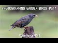 Photographing Garden Birds in a small town garden using an Olympus EM1 MkIII