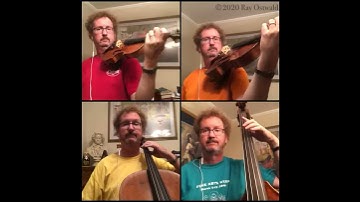 D Major Scale, 1 octave, designed to play along. Ray Ostwald, violin, viola, cello, bass.
