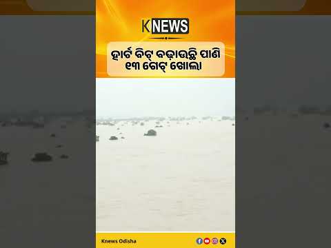 ହାର୍ଟ ବିଟ୍ ବଢ଼ାଉଛି ହୀରାକୁଦ ଜଳସ୍ତର। ଖୋଲିଆ ଆଉ ୫ ଗେଟ୍। ୧୩ଟି ଗେଟ୍ ଦେଇ ବନ୍ୟାଜଳ ନିଷ୍କାସନ