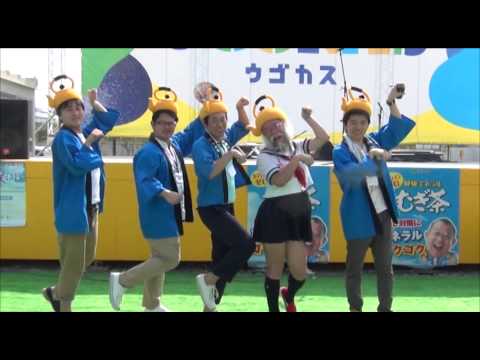 セーラー服おじさん。健康ミネラルむぎ茶ステージ③