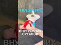 Показываю упражнения от опущения внутренних органов #опущениевнутреннихорганов #опущениематки