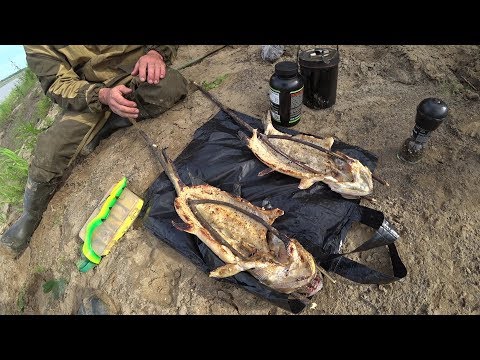 ДИКАЯ КУХНЯ. ЖАРЕНАЯ ЩУКА НА УГЛЯХ НА РОЖНЕ.