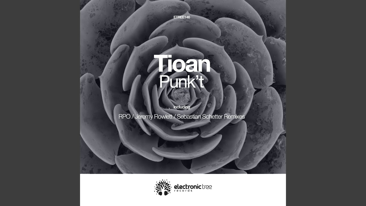 Punk't (Sebastian Schetter Remix)