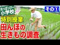 特別授業「田んぼの生き物調査」その1 の動画、YouTube動画。