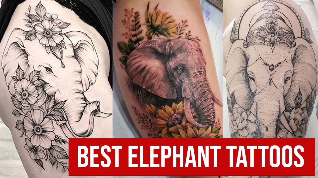 animal-tattoo-design-elefant-designtattoo | More Great Innov… | Flickr