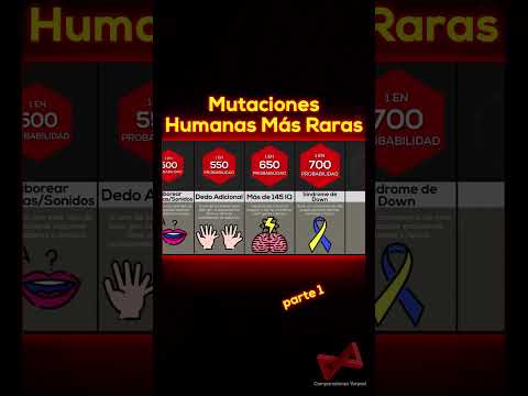 Comparacion De Las