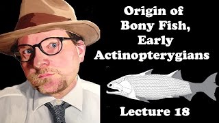 Lecture 18 Origin of Bony Fish, Early Actinopterygians