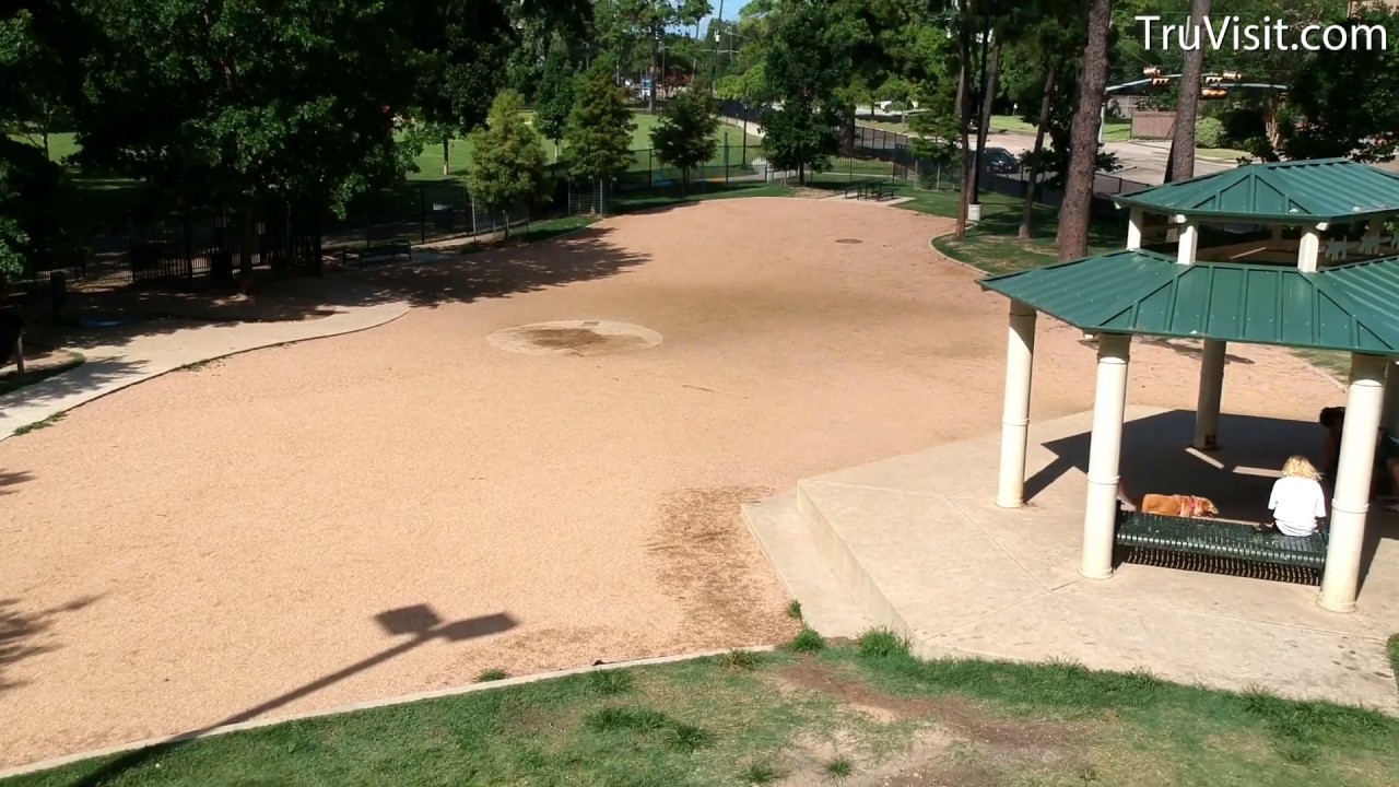 Dog Park Tanglewood YouTube