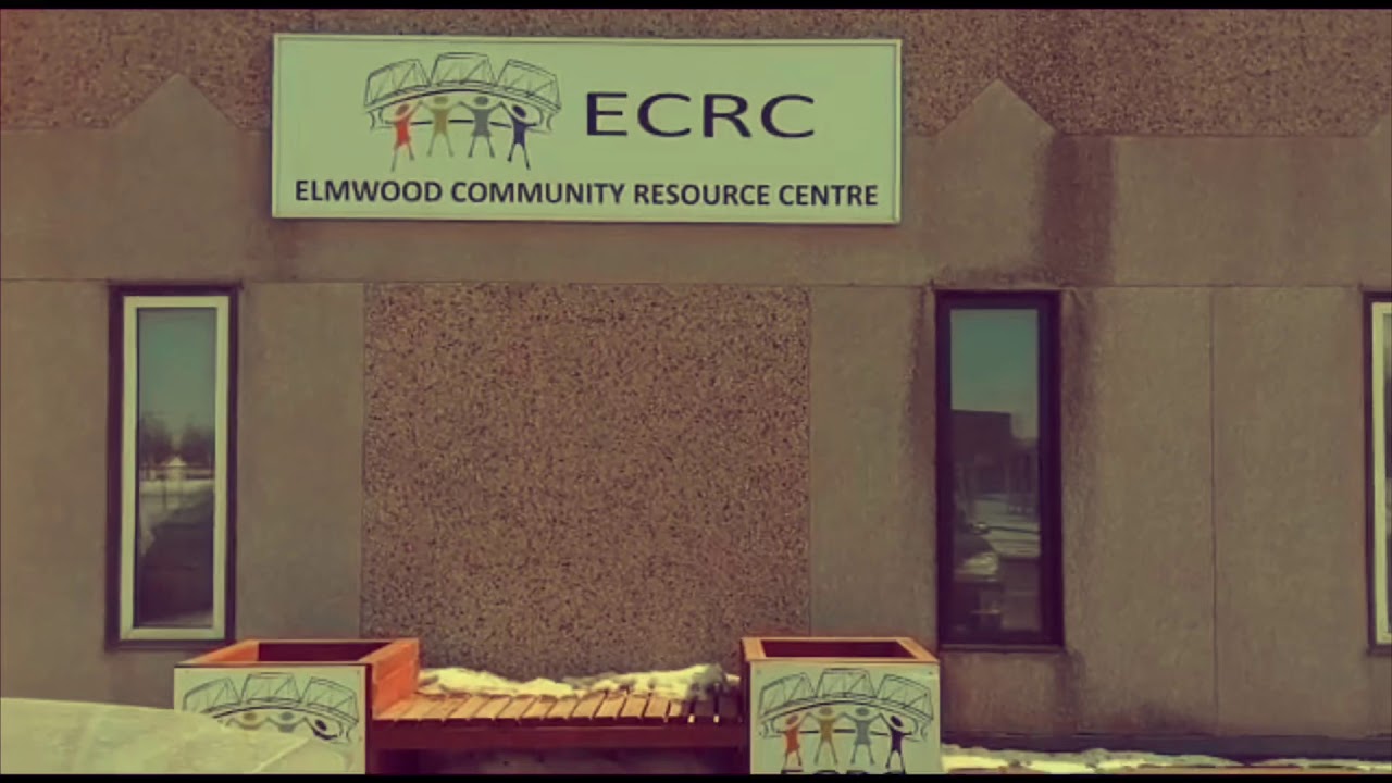 Diversity In Canada ( youth program ) YouTube