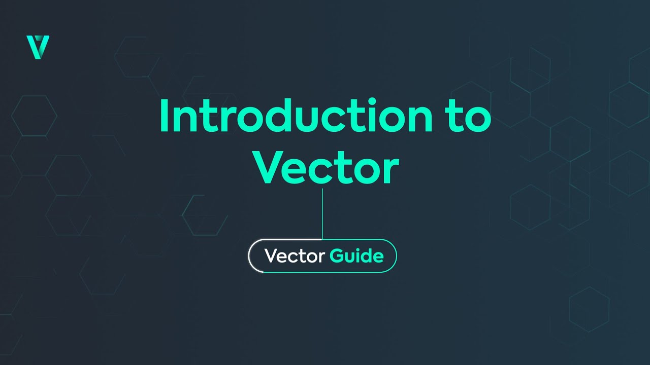 Introduction to Vector | Vector Guide - YouTube