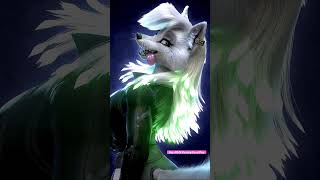 Day 40 Of Posting Furry Pics