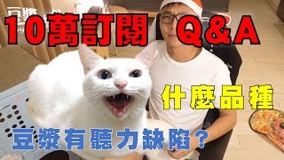 【豆漿10萬訂閱】十萬Q&A　豆漿其實有聽力缺陷?