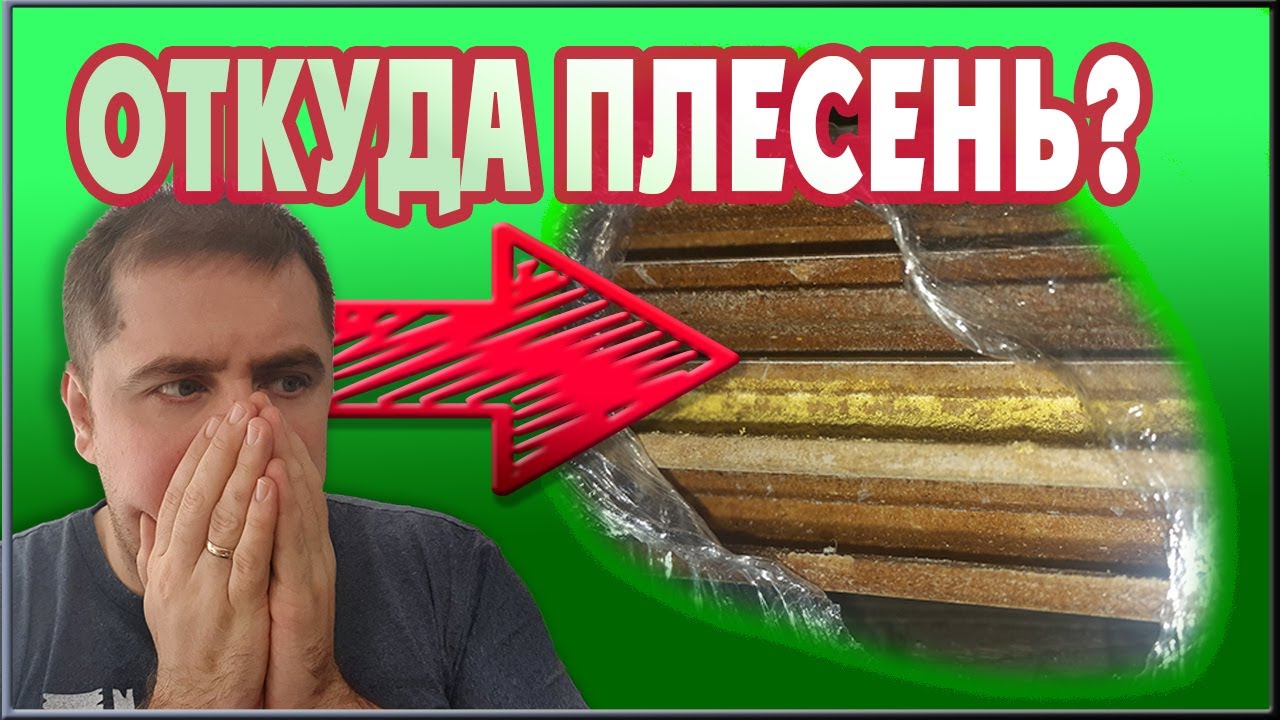 Плесень на ламинате. Испорченый ламинат. Разбор проблемы с ламинатом ...