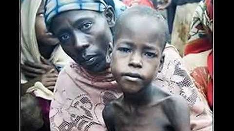 GM technology: the developed and the developing world